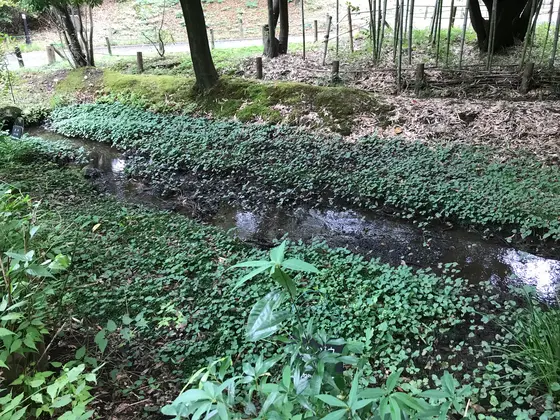 手持ち無沙汰だったのでw