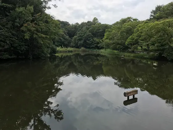 池です。もう飽きたけどw