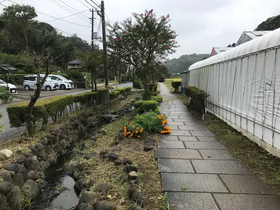 進めや進め、エンリャコ〜リャ♪