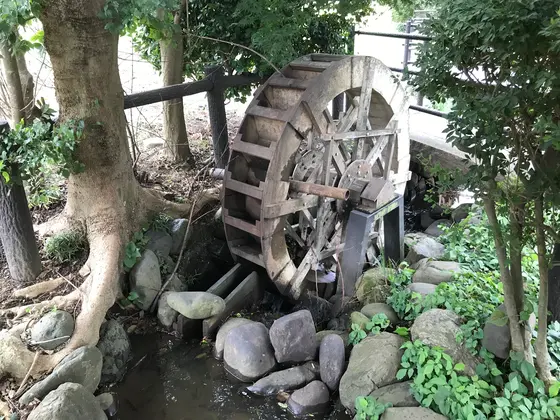 曲がりくねっていた訳