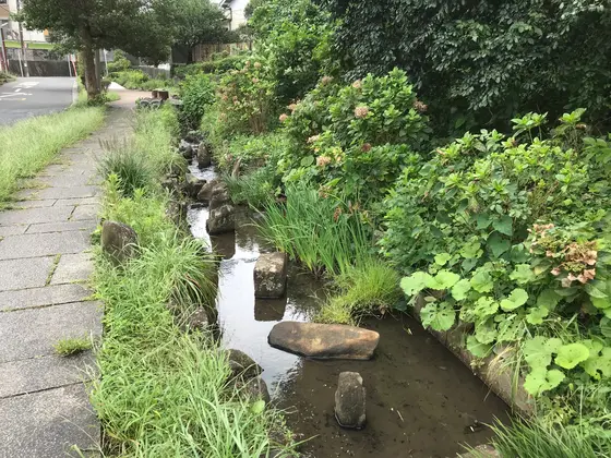 小川も凝ってます。