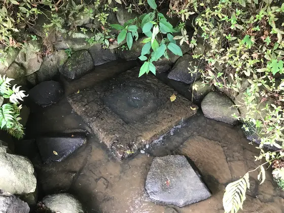 小川の源流域近く