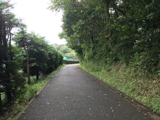 公園内の道。