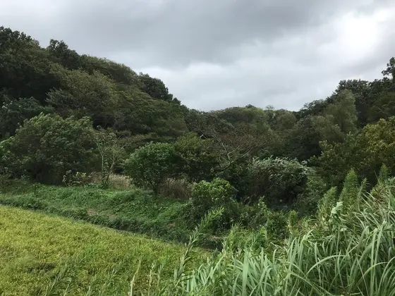 公園の整備も大変そう