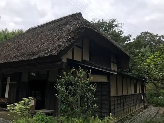 近寄ってみます。