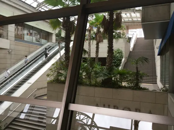 ガラス張りの渡り廊下