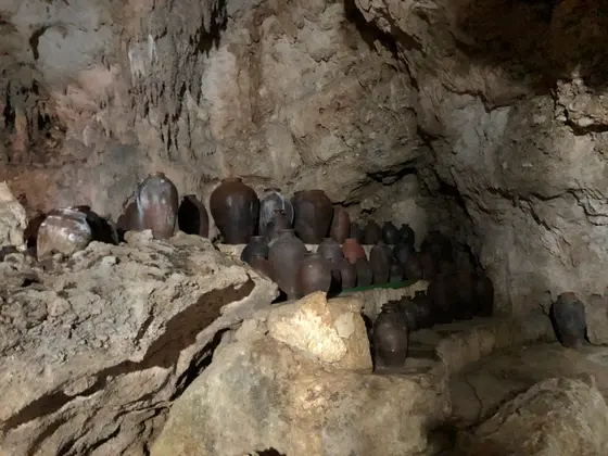 泡盛を醸造してぃたらしいです