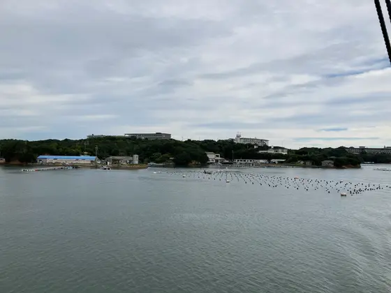 クルーズ船から外を眺める