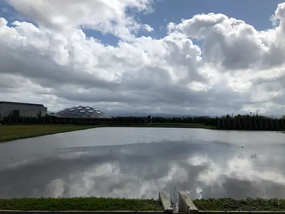 見渡す限り田園風景