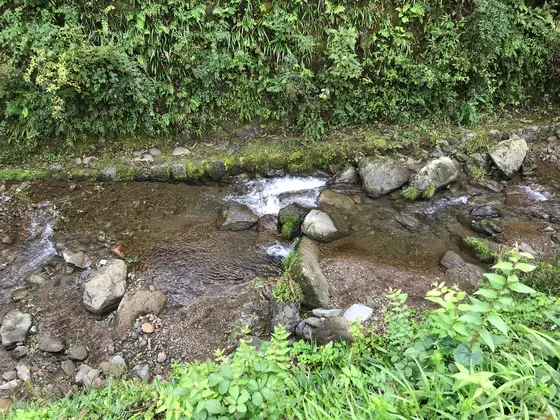 ひんやりして気持ち良い