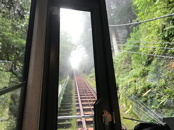 うお、霧が
