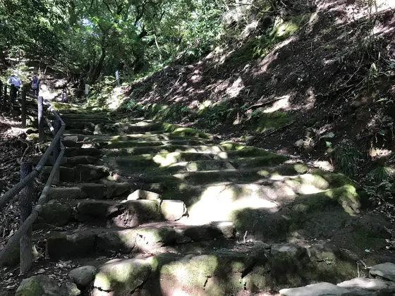 神奈川県は多いです。