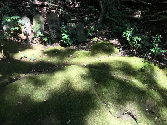 美しいです。