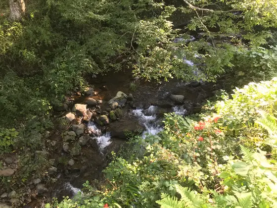 かなり高い場所です。