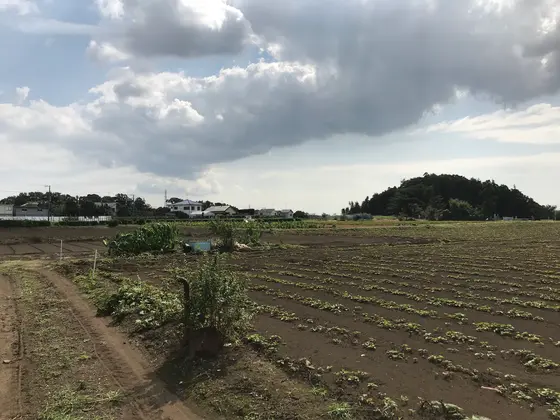 里山と言うより・・・