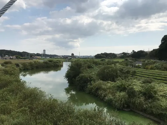 橋上からの眺め