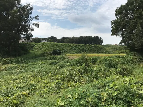 サイクリングロードからの景色