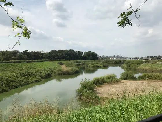 開放感は抜群