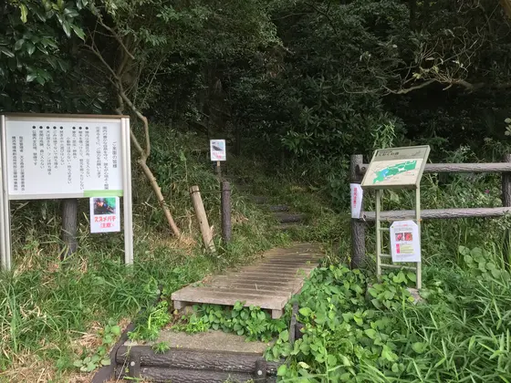 天王森泉公園