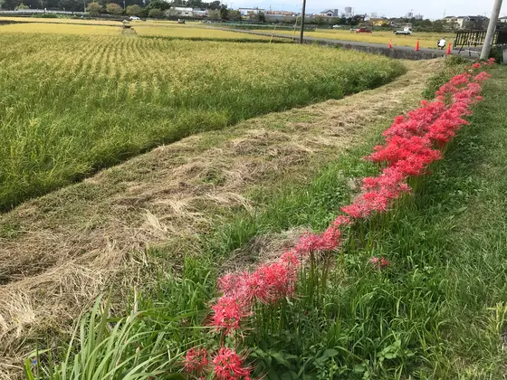 鉄板の景色