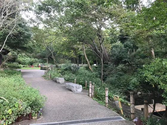 古民家の裏庭？