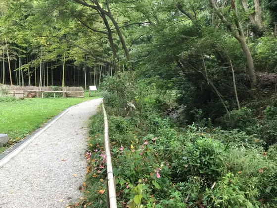 水辺近寄るのやめようw