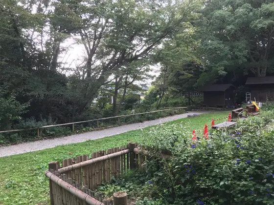 木の囲いの中は