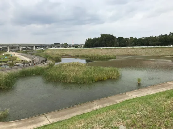 境川遊水池公園