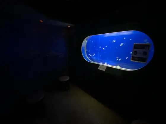 バーデZONEクール