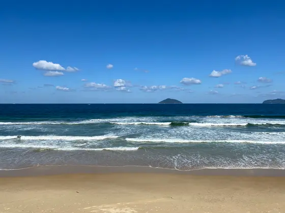 海