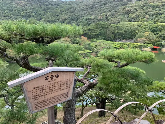 スポット内のおすすめ