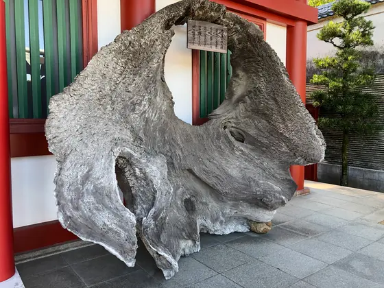 スポット内のおすすめ
