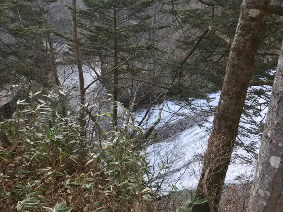 求心くれ〜w
