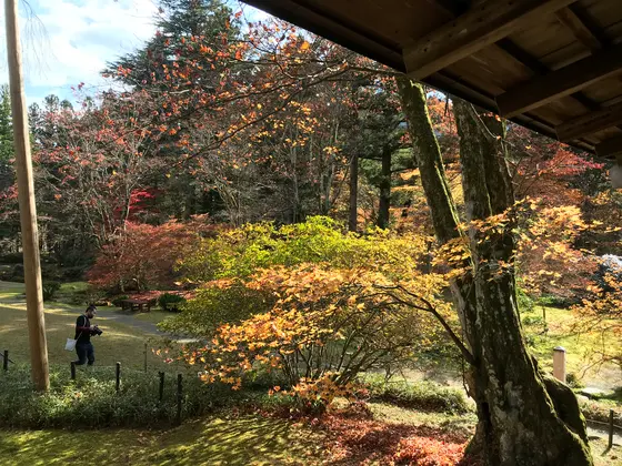 何気に庭園も良いです。