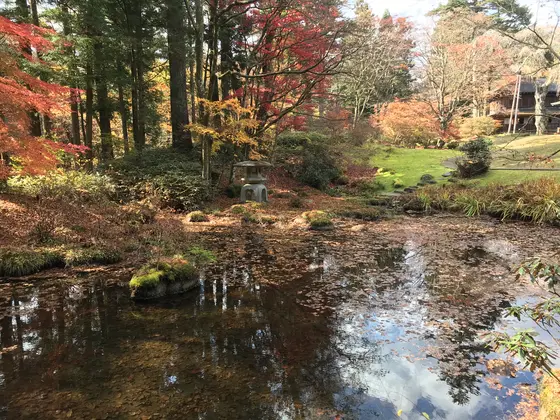 池の水も澄んでます。