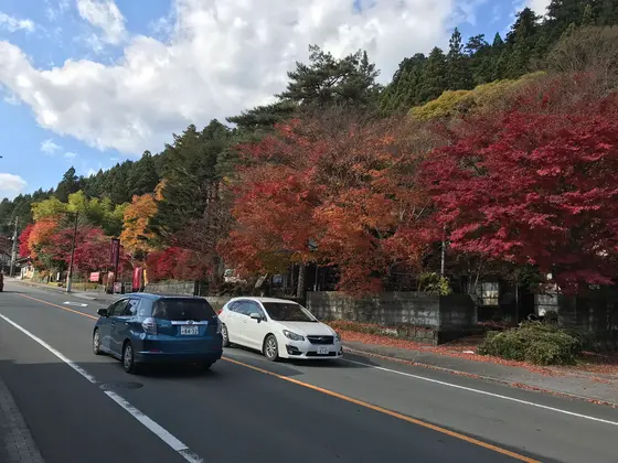 良いですねぇ^ ^