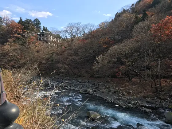 森の上の建物は？