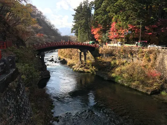 なので、この眺め^ ^