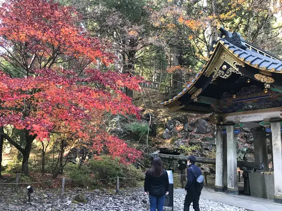 規模は小さいです。