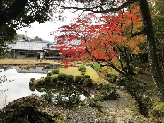 庭園