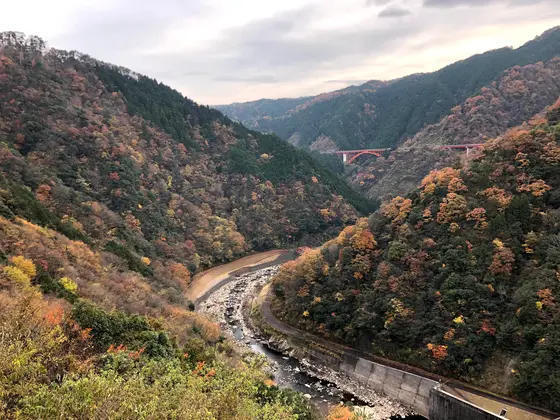 紅葉まだ残ってた！
