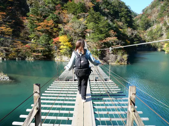 見たことがない景色に感動