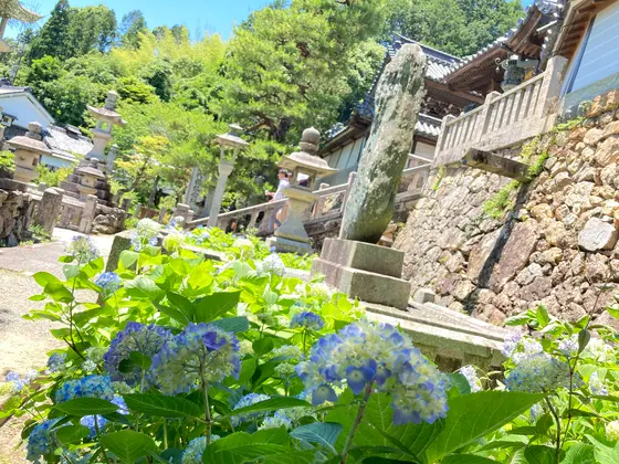 境内のそこかしこに