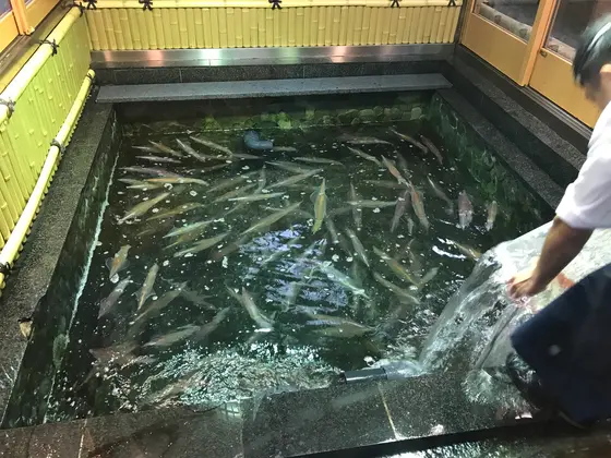 スポット内のおすすめ