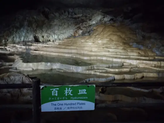 百枚皿