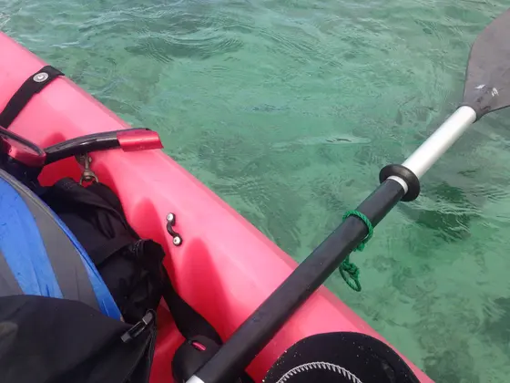 遊泳禁止の川平湾