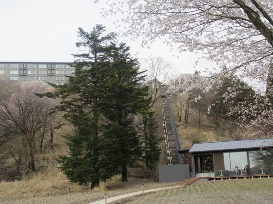 温泉からの景色