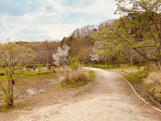 里山の春