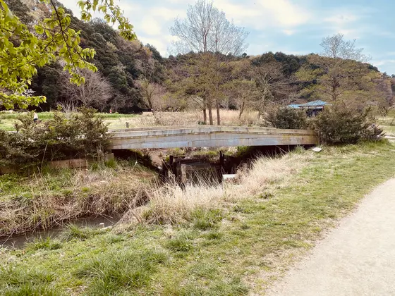 木の橋