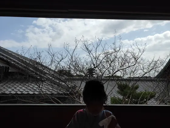 窓からの風景